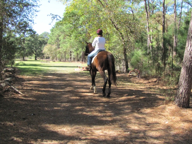 Cabalgando en el bosque